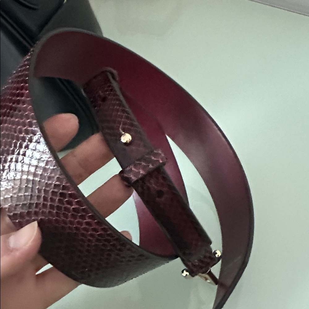 Michael Kors Python Bag Strap - image 3